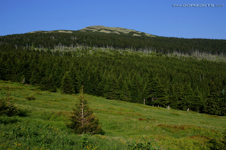 hill_at_morning