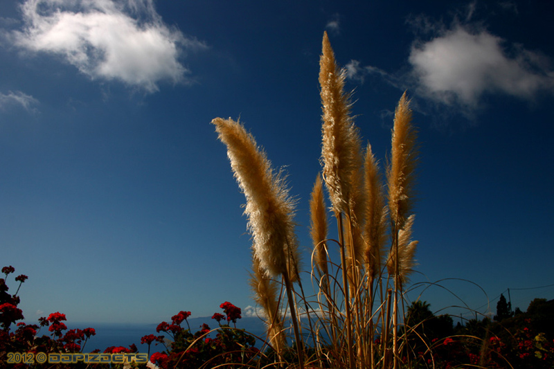 13_Tenerife_impression
